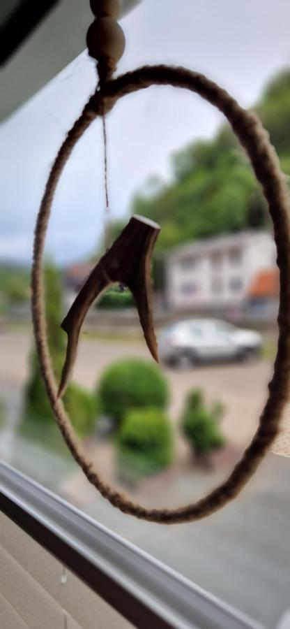 Ferienwohnung Schwarzer Hirsch Wieda Bagian luar foto