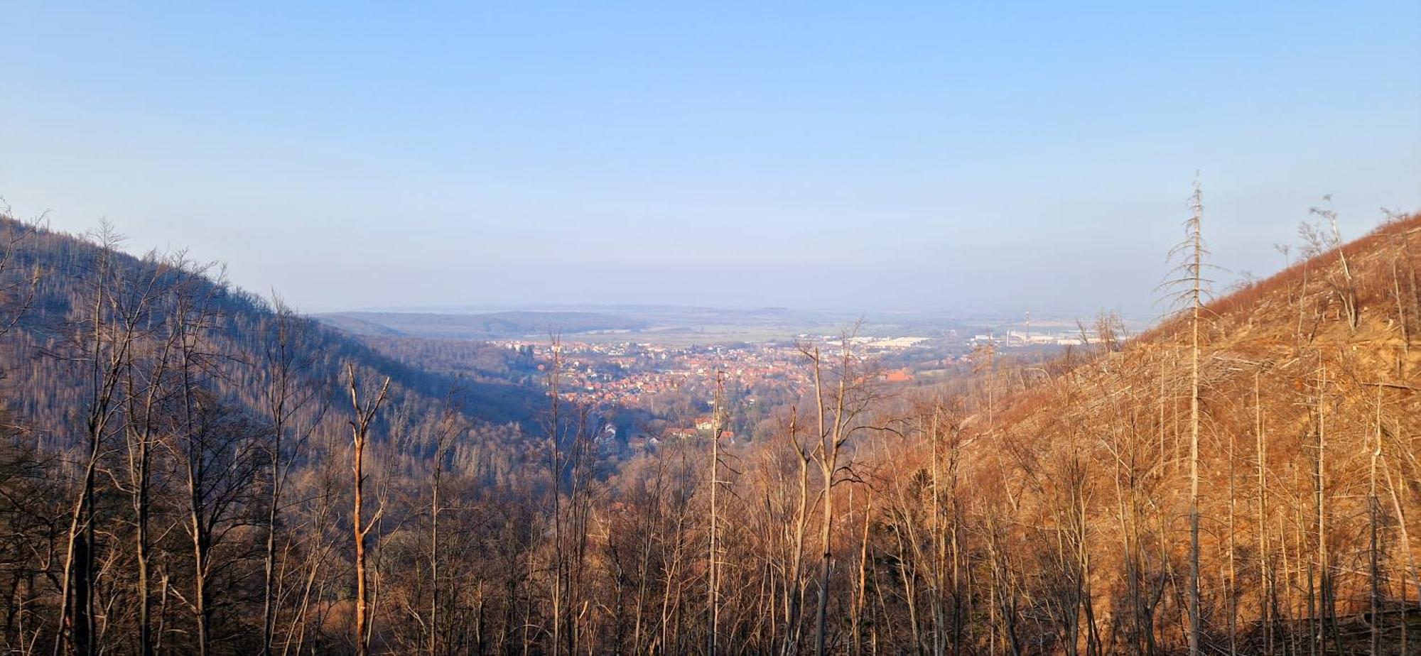 Ferienwohnung Schwarzer Hirsch Wieda Bagian luar foto