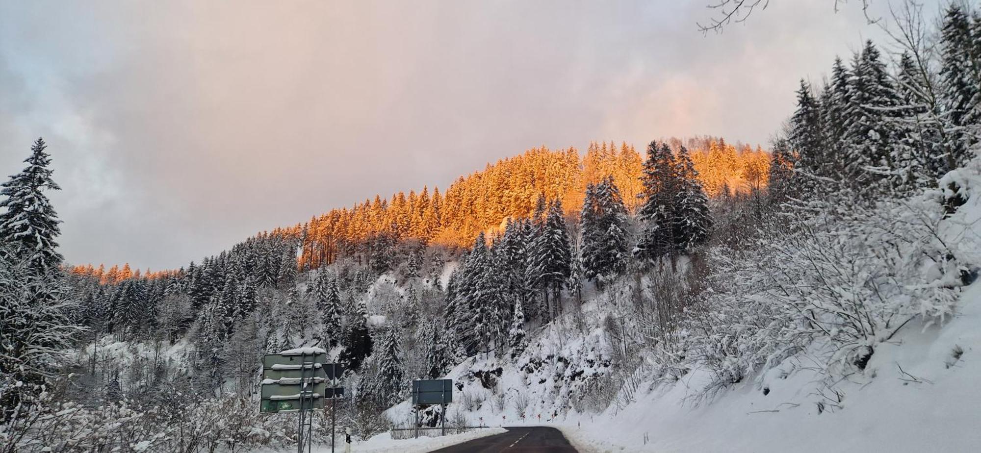 Ferienwohnung Schwarzer Hirsch Wieda Bagian luar foto